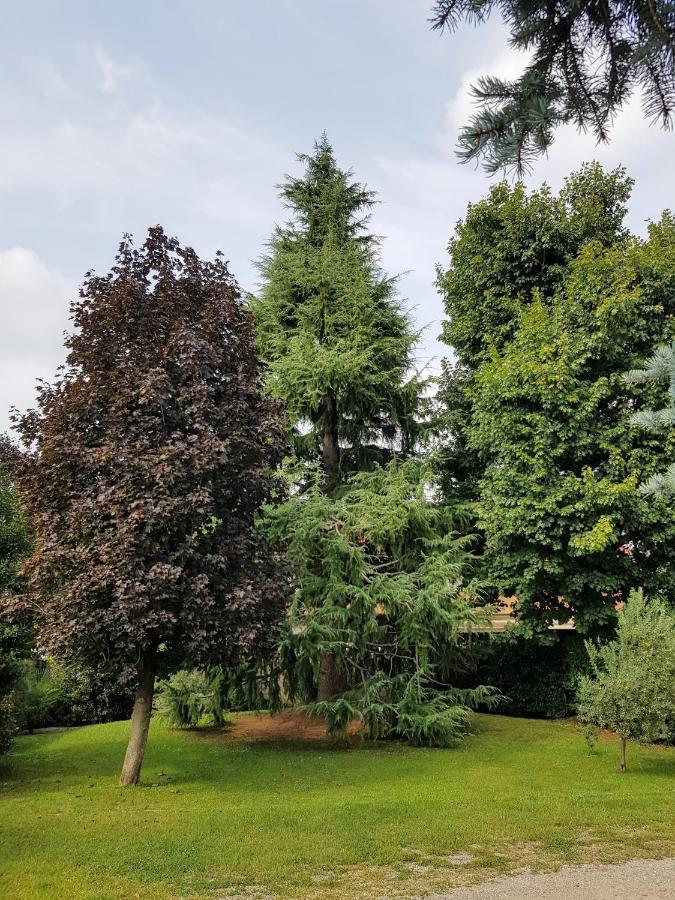 Il Nido Della Dani Bed & Breakfast Busto Arsizio Luaran gambar