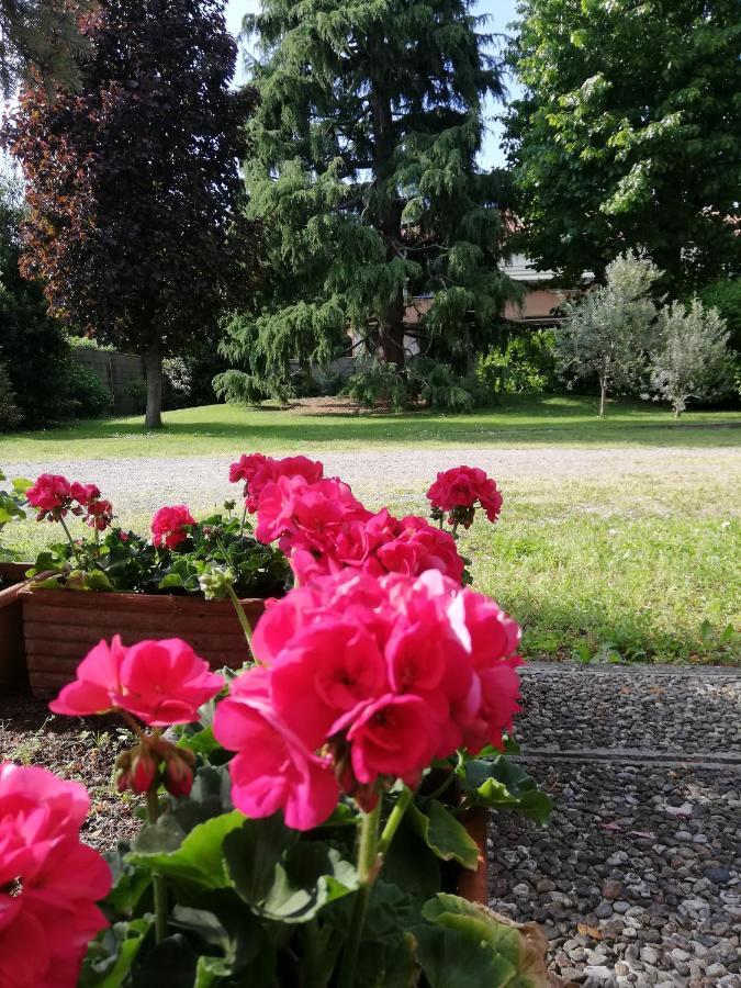 Il Nido Della Dani Bed & Breakfast Busto Arsizio Luaran gambar